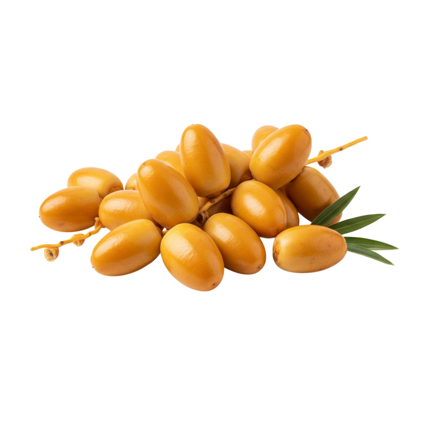 بلح البرحي الأصلي