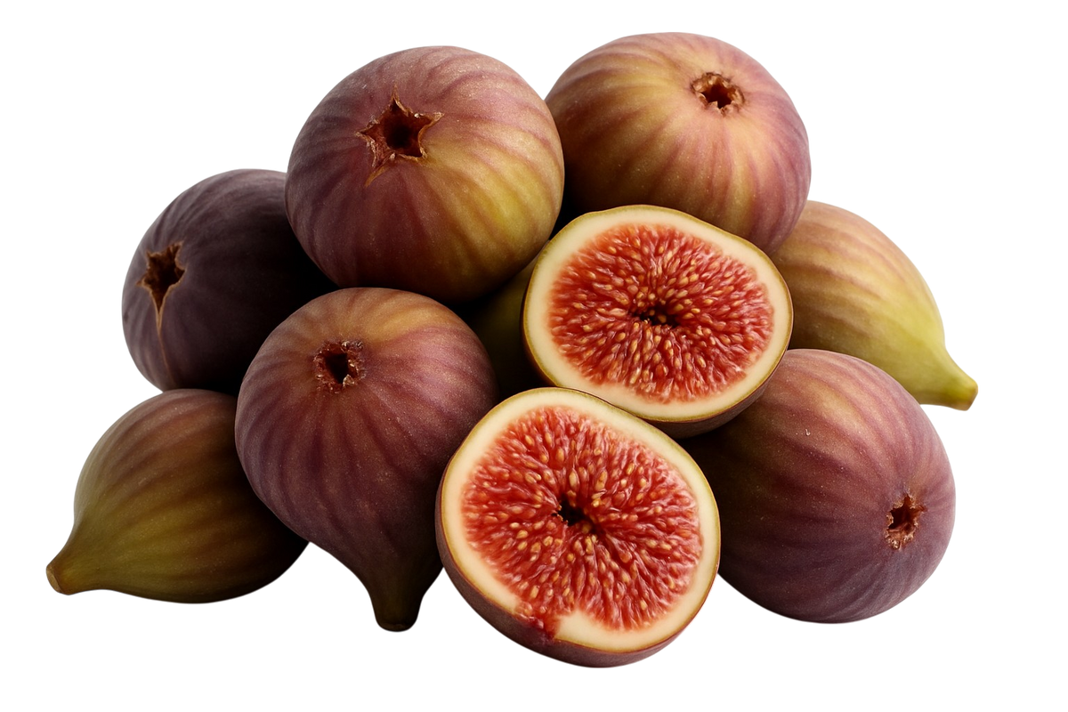 Fig (تين برشومي مطروح)